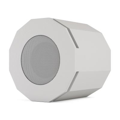 CVGAUDIO SUBONE MODEL D-6/W/CR/T